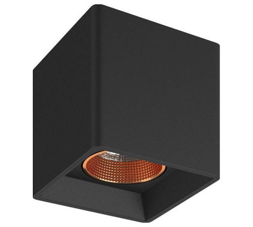 Накладной светильник Denkirs DK3020BВ DK3080-BBR