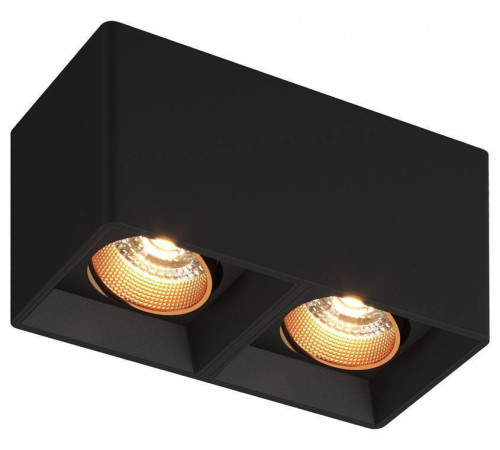 Накладной светильник Denkirs DK3030 DK3085-BK+BR