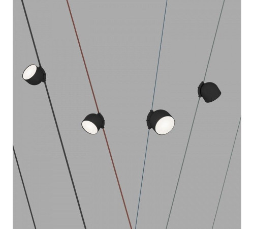 Накладной светильник Denkirs Belty Spot DK5642-BK