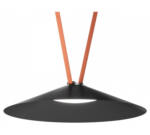 Накладной светильник Denkirs Belty Flow DK5668-BK