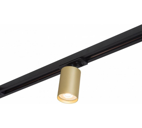 Светильник на штанге Denkirs Tube DK6201-BG