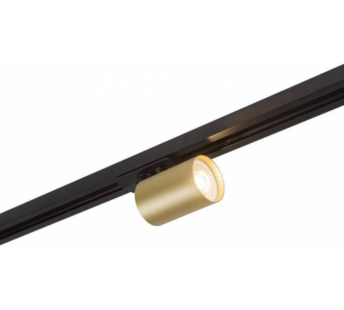 Светильник на штанге Denkirs Tube DK6201-BG