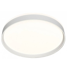 Накладной светильник Denkirs PLATO DK6511-WH