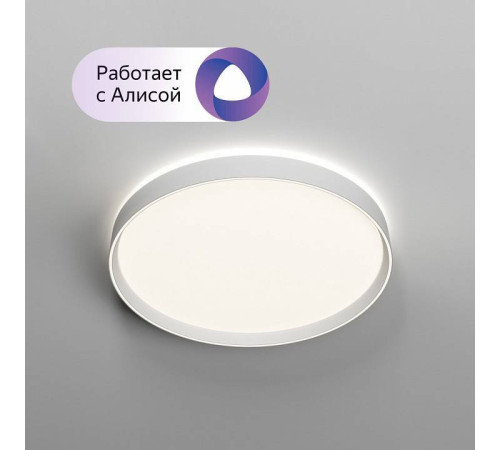 Накладной светильник Denkirs PLATO DK6511-WH