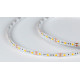 Лента светодиодная DesignLed DSG560 00-00000516