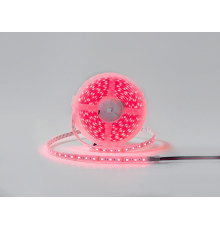 Лента светодиодная DesignLed DSG560 00-00001489