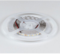 Лента светодиодная DesignLed DSG2120 00-00036590