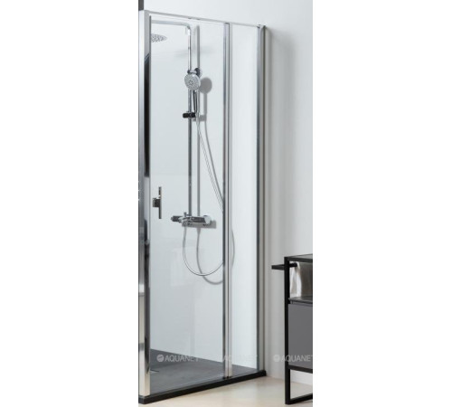 Душевая дверь Allen Brau Priority 1200 мм стекло Optiwhite 8 мм хром 3.31031.00