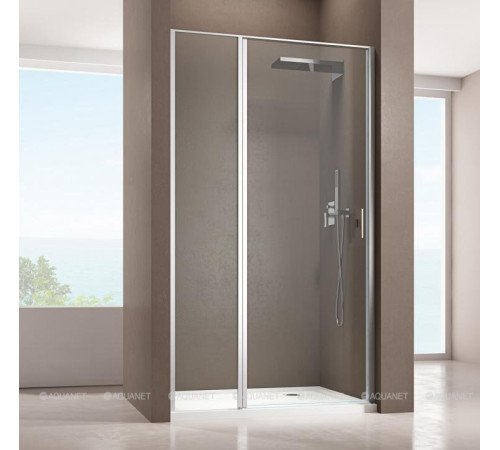 Душевая дверь Allen Brau Priority 1200 мм стекло Optiwhite 8 мм хром 3.31031.00