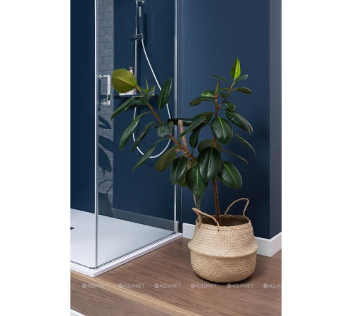 Душевая дверь в нишу Aquanet Cinetic 800 мм хром прозрачная 6 мм AE12-N-80H190U-CT