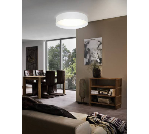 Накладной светильник Eglo Pasteri 31588