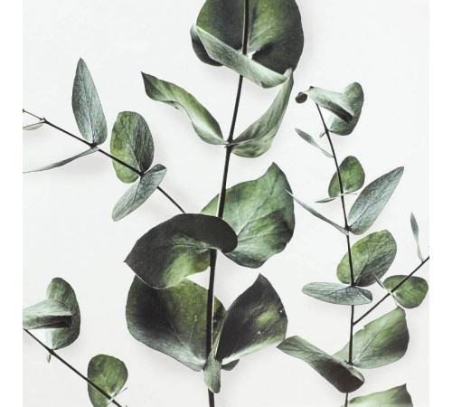 Картина Eglo Roberval 423043