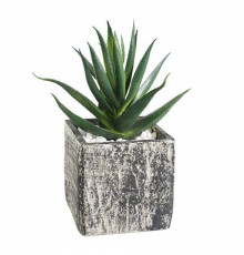 Растение в горшке Eglo Chitose 428008