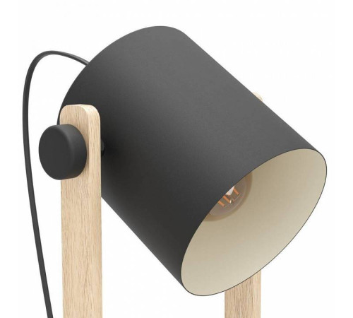 Торшер Eglo HORNWOOD 43521