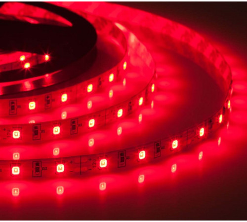 Лента светодиодная ELFLED ELF-300SMD2835NWR