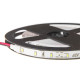 Лента светодиодная ELFLED ELF-300SMD3014NWW