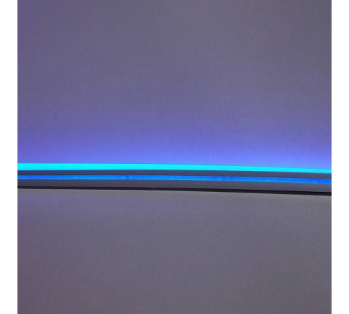 Шнур световой Eleganz EL-N24-96B