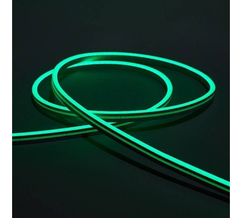 Шнур световой Eleganz EL-N24-96G