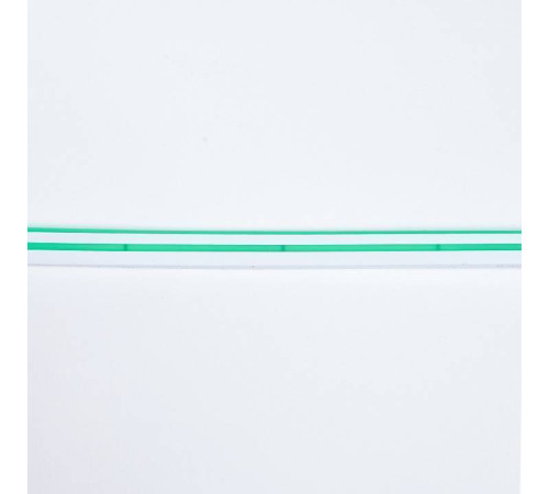 Шнур световой Eleganz EL-N24-96G