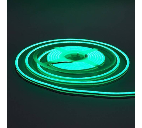 Шнур световой Eleganz EL-N24-96G