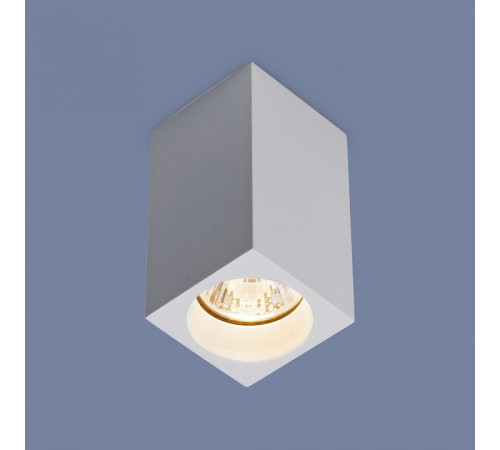 Накладной светильник Elektrostandard 1085 GU10 a040989