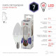 Лампа светодиодная Эра Стандарт LED B35-7W-860-E14