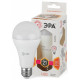 Лампа светодиодная Эра Стандарт LED A65-21W-827-E27