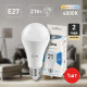 Лампа светодиодная Эра Стандарт LED A65-21W-840-E27