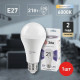 Лампа светодиодная Эра Стандарт LED A65-21W-860-E27