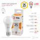 Лампа светодиодная Эра Стандарт LED A65-25W-827-E27