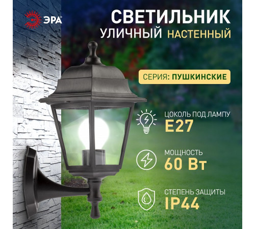 Светильник на штанге Эра НБУ 04-60-001 черный