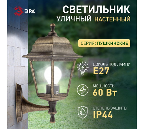 Светильник на штанге Эра НБУ 04-60-001 бронза