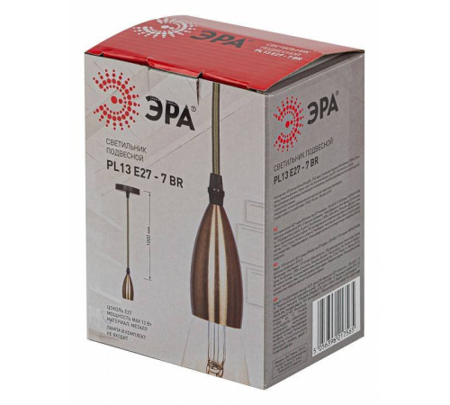 Подвесной светильник ЭРА PL13 Б0048528