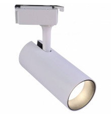 Светильник на штанге Эра  TR5-10 COB WH