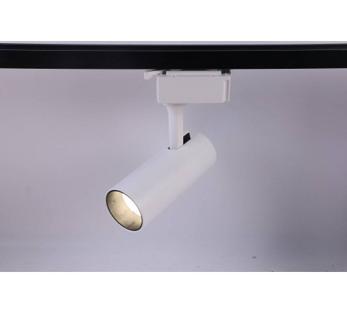 Светильник на штанге Эра TR5-10 COB WH