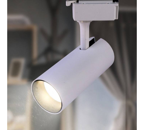 Светильник на штанге Эра TR5-10 COB WH