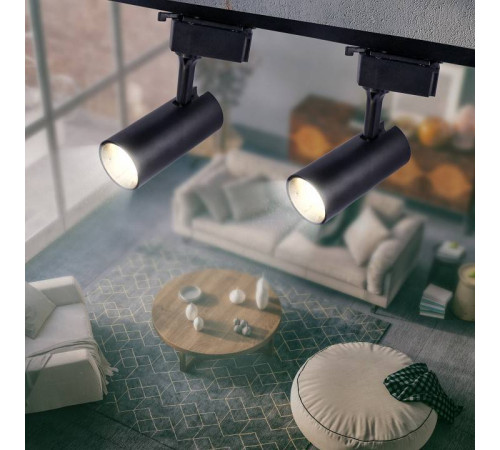 Светильник на штанге Эра TR5-10 COB BK