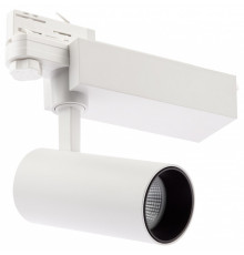 Светильник на штанге Эра  SТR-30-36-30K-W20