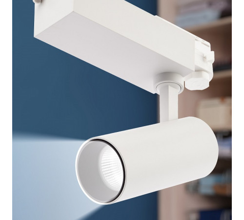 Светильник на штанге Эра SТR-30-36-30K-W20