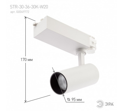 Светильник на штанге Эра SТR-30-36-30K-W20