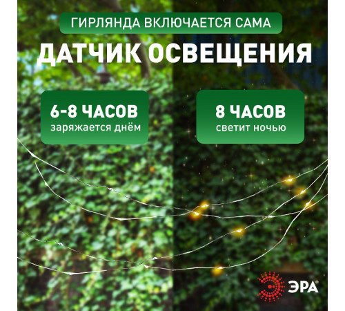 Гирлянда на солнечных батареях Эра ERASF22-42