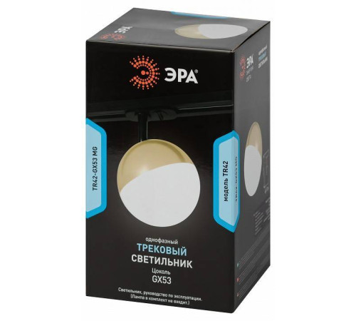 Светильник на штанге Эра TR42-GX53 MG