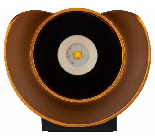 Накладной светильник Эра WL42 BK+GD Б0054420