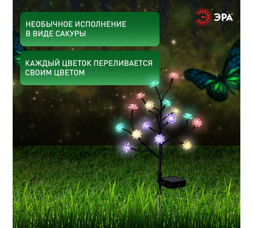 Наземный низкий светильник Эра ERASF22-60