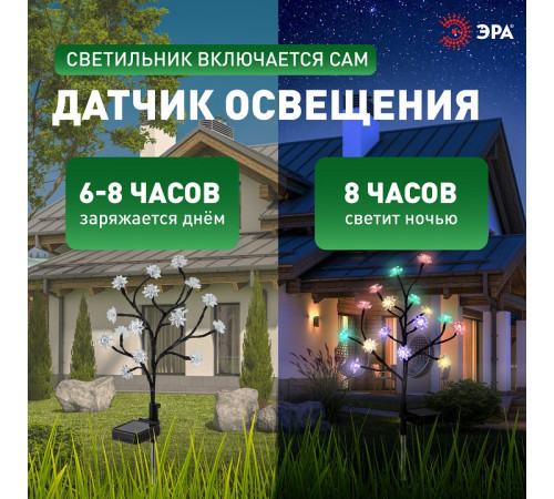 Наземный низкий светильник Эра ERASF22-60