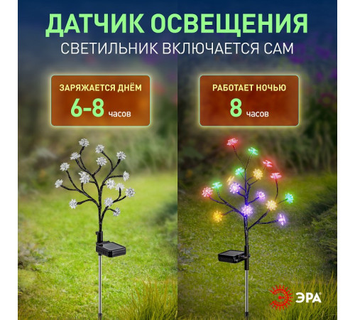 Наземный низкий светильник Эра ERASF22-60