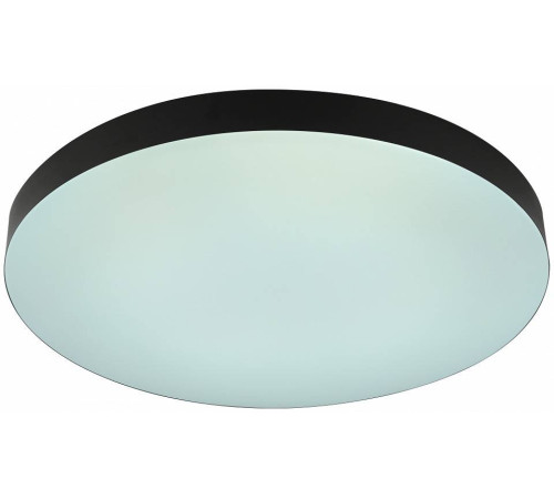 Накладной светильник Эра Relict Relict 48 Pult SPB-6-60-RC BK