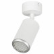 Спот Эра OL55 WH/SL