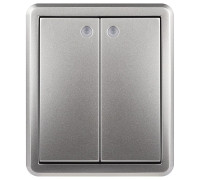 Выключатель двухклавишный с подсветкой Эра Эра Эксперт 11-1205-03