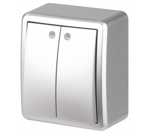 Выключатель двухклавишный с подсветкой Эра Эра Эксперт 11-1205-03